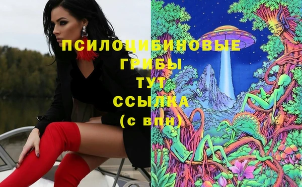 прущий лед Алексин
