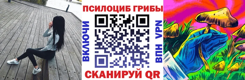 Псилоцибиновые грибы прущие грибы  закладка  Жуков 