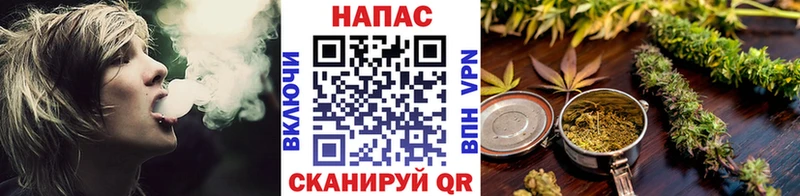 Бошки Шишки план  Жуков 